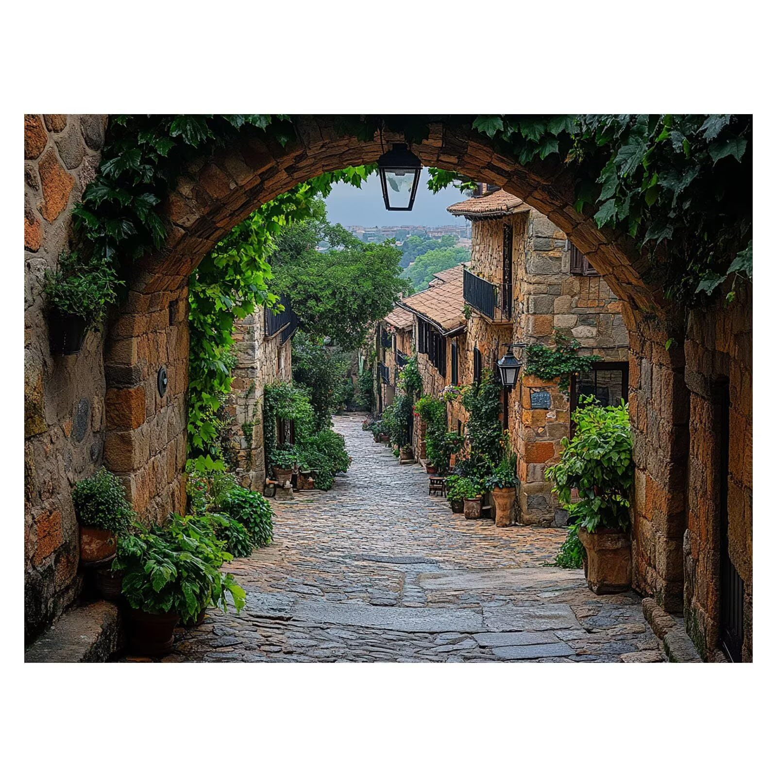 Dipingere con i Numeri Adulti Piccola Città Tele 70x95cm ZSHS-2540 | Kit Pittura Hobby Creativi Adulti con Colori Acrilici Pennello Paittura Tela Vista Stradale per Quadri Moderni Soggiorno