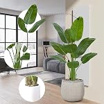 Artificial Bird of Paradise Tree 4ft - Faux Banana Leaf Palm Plant with White Planter, Lifelike Large Silk Floor Tree for Indoor Outdoor Modern Decor, Home Living Room Office Housewarming Gift