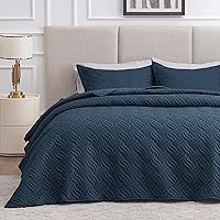 Vista 26 de Love's cabin Colchas para cama Queen de color blanco, colcha suave de verano, colcha de microfibra ligera, colcha de estilo moderno