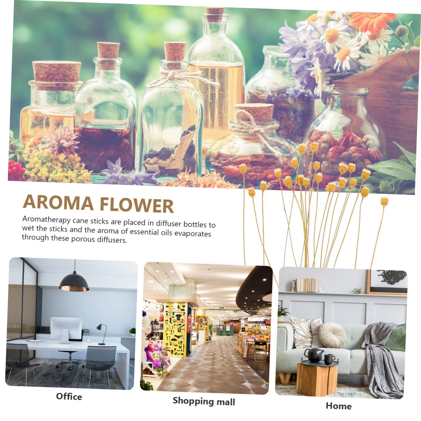 NOLITOY 40pcs Flower Diffuser Sticks for Rattan Inserts for Home Decor Fragrant Dry Flower Diffuser Accessories Chic and Unique Design for Spa and Relaxation