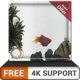 pecera gris gratis HD: decora tu habitación con un hermoso acuario de peces en tu televisor HDR 4K, televisor 8K y dispositivos de fuego como fondo de pantalla, decoración para las vacaciones de Navid