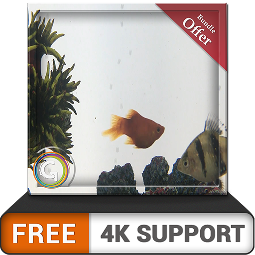 aquarium gris gratuit HD - décorez votre chambre avec un magnifique aquarium de poissons sur votre téléviseur HDR 4K, une télévision 8K et des appareils d'incendie comme fond d'écran, décoration pour