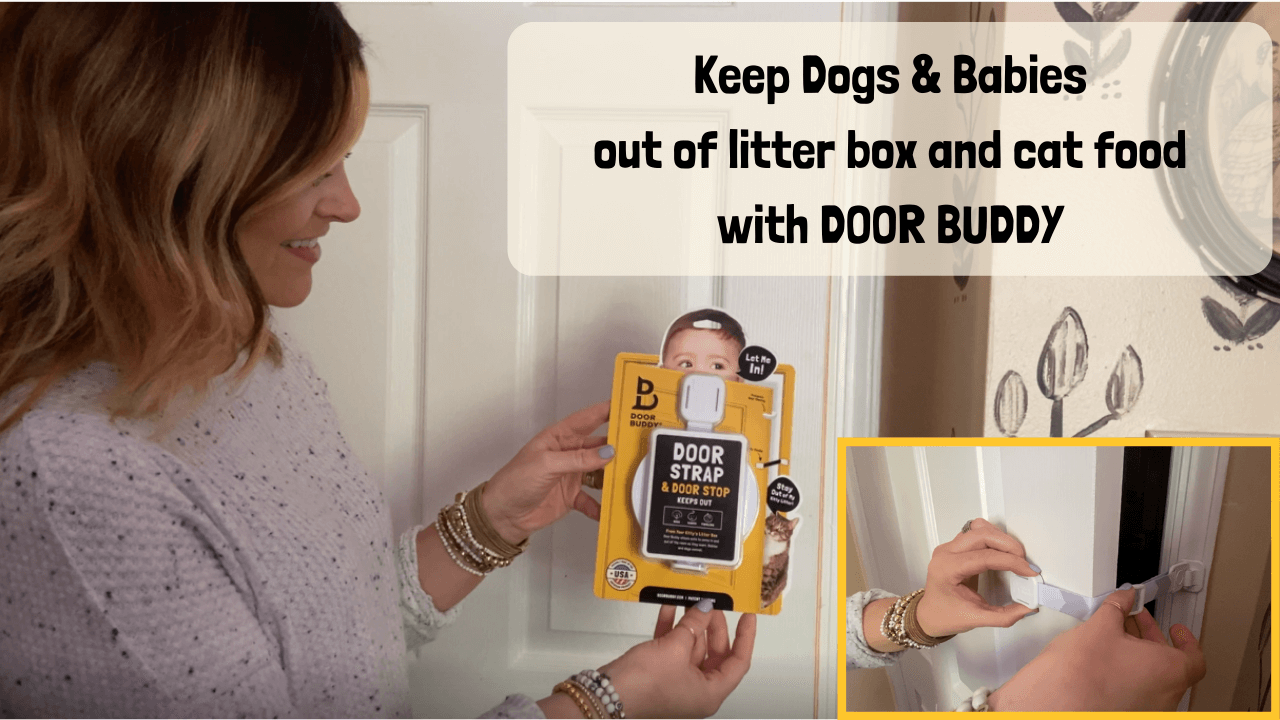 Door Buddy Cat Door Latch & Cat Door Stopper. Adjustable Door Strap for