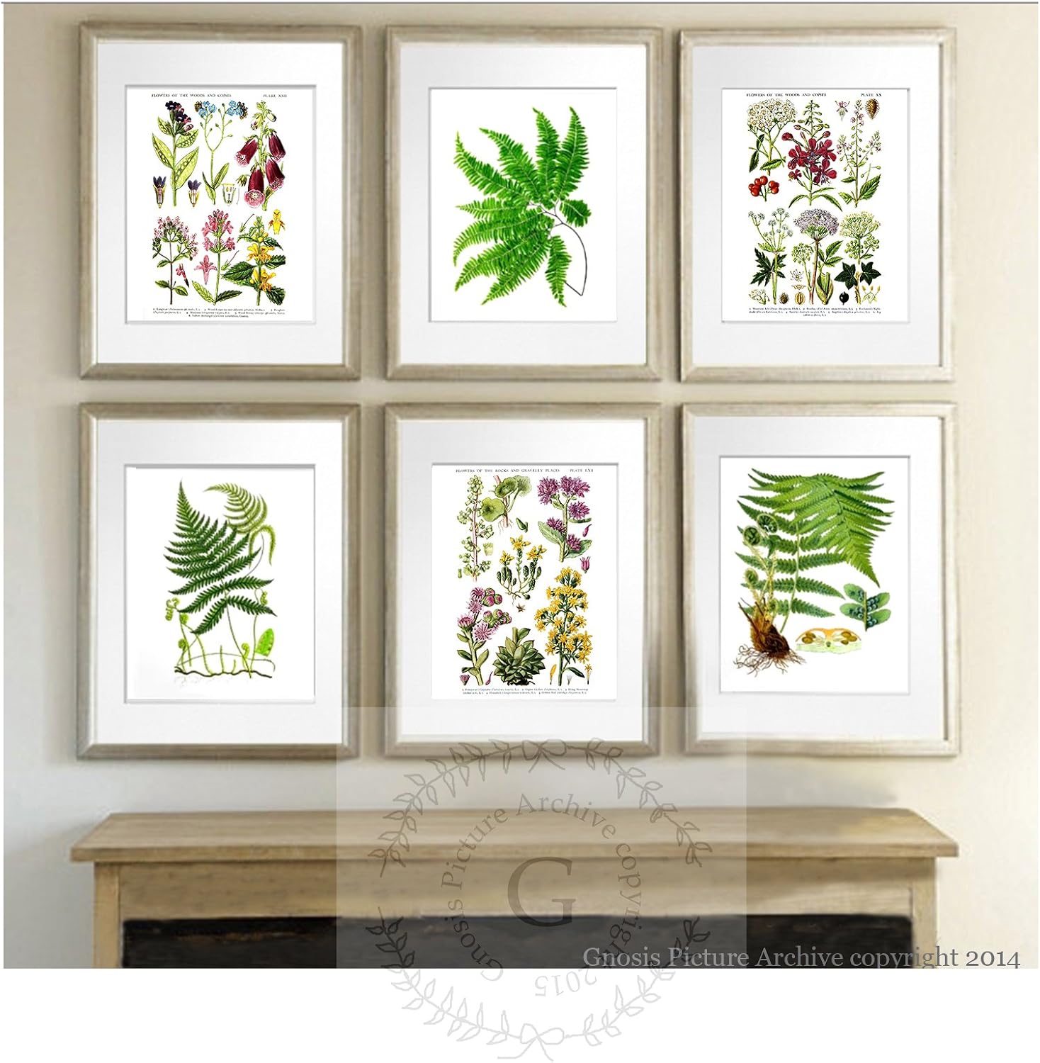 Botanical Wall Decor Set of 6 Unframed Ferns English Wild Flowers Art Prints