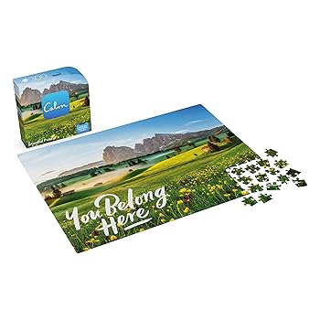 Amazon.com: Spin Master 300-Piece Calm Jigsaw Puzzle for
