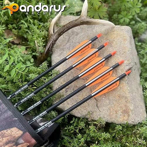 Miniatura 14 de Flechas de caza con tiro con arco de carbono de 30/32/28 pulgadas con extraíble para jóvenes compuesto y objetivo de arco recurvo (paquete de 12)