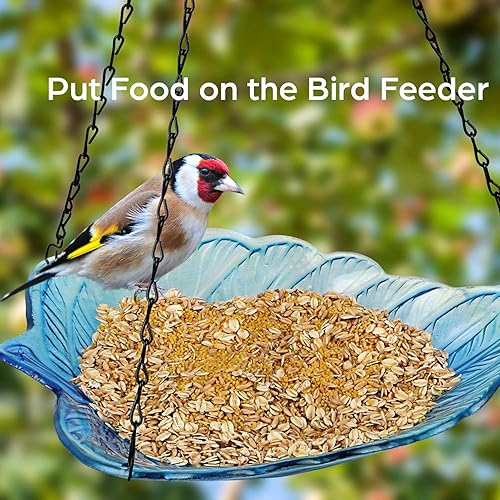 Miniatura 4 de ielevations Baño colgante para pájaros para exteriores, cuenco de vidrio, comedero de platos para pájaros silvestres para jardín, patio y patio,