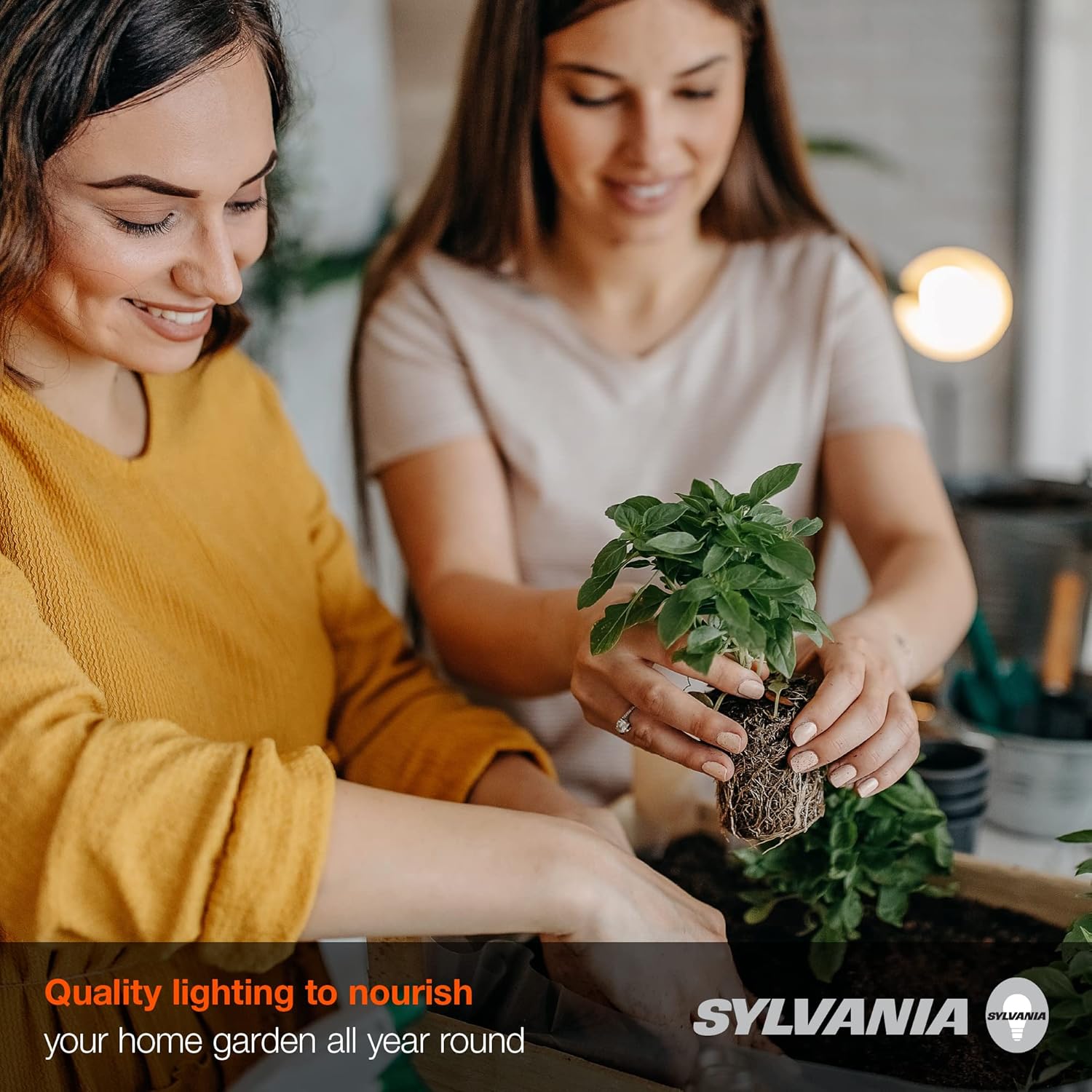 Sylvania Full Cycle 15W LED Grow Light Bulb, A19, 25 Micromoles/s, 80 CRI, Non-Dimmable, Frosted - 1 Pack (40023)