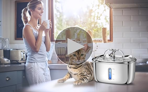 Amazon.com : Cat Water Fountain with Water Level Window