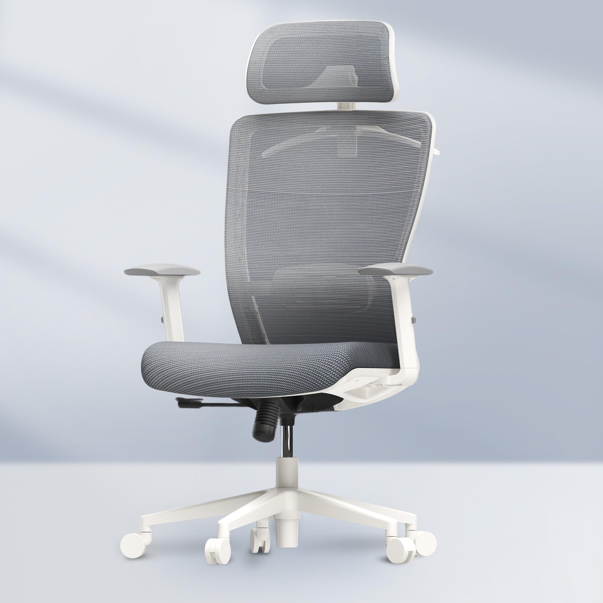 Flexispotclassic Ergonomic Office Chair With High Back Swivel