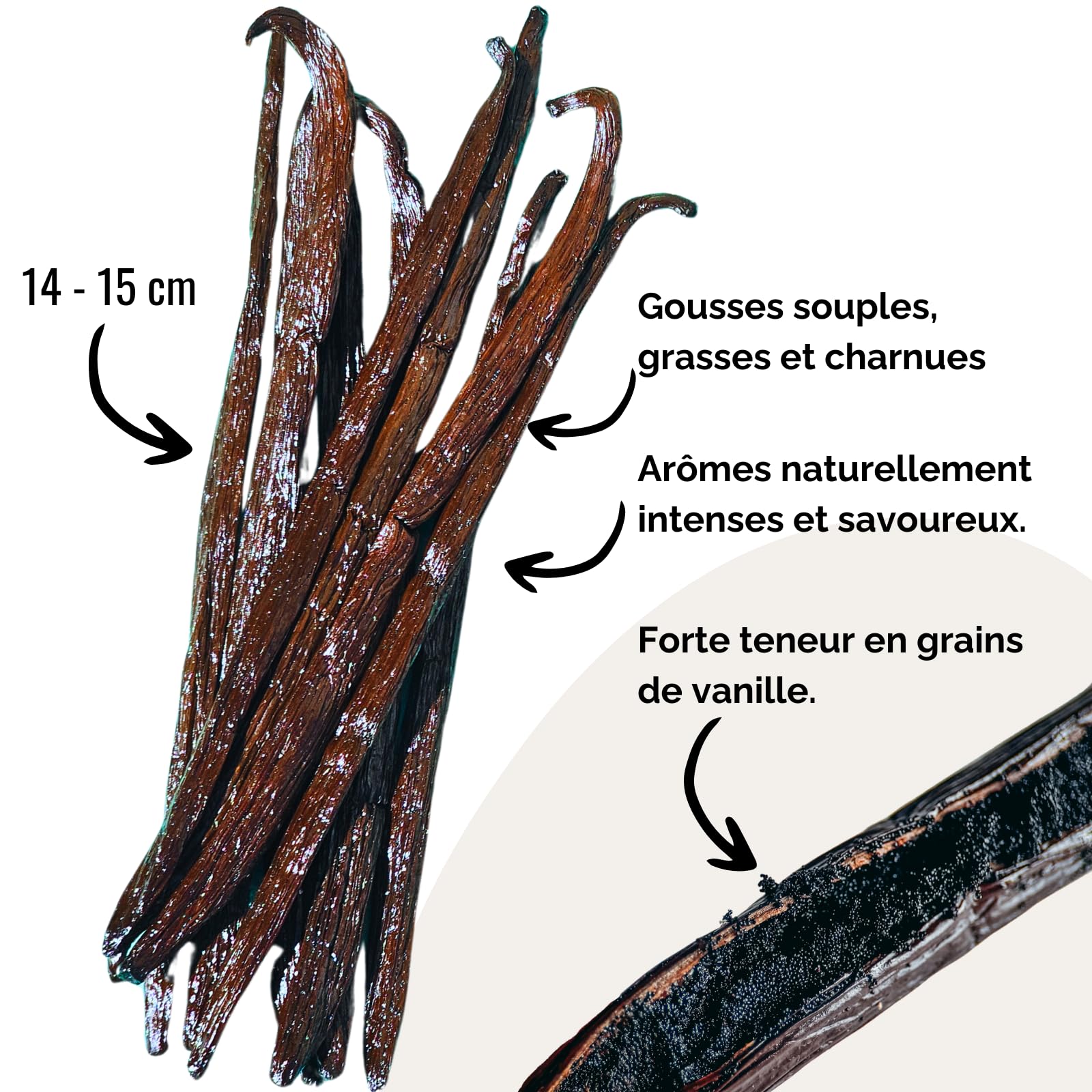12 vainas de vainilla cruda grande 14-15 cm | Calidad Extra Gourmet | Vainas blandas, carnosas y perfumadas | Pack Eco | Bolsa al vacío Conservación Larga Duración