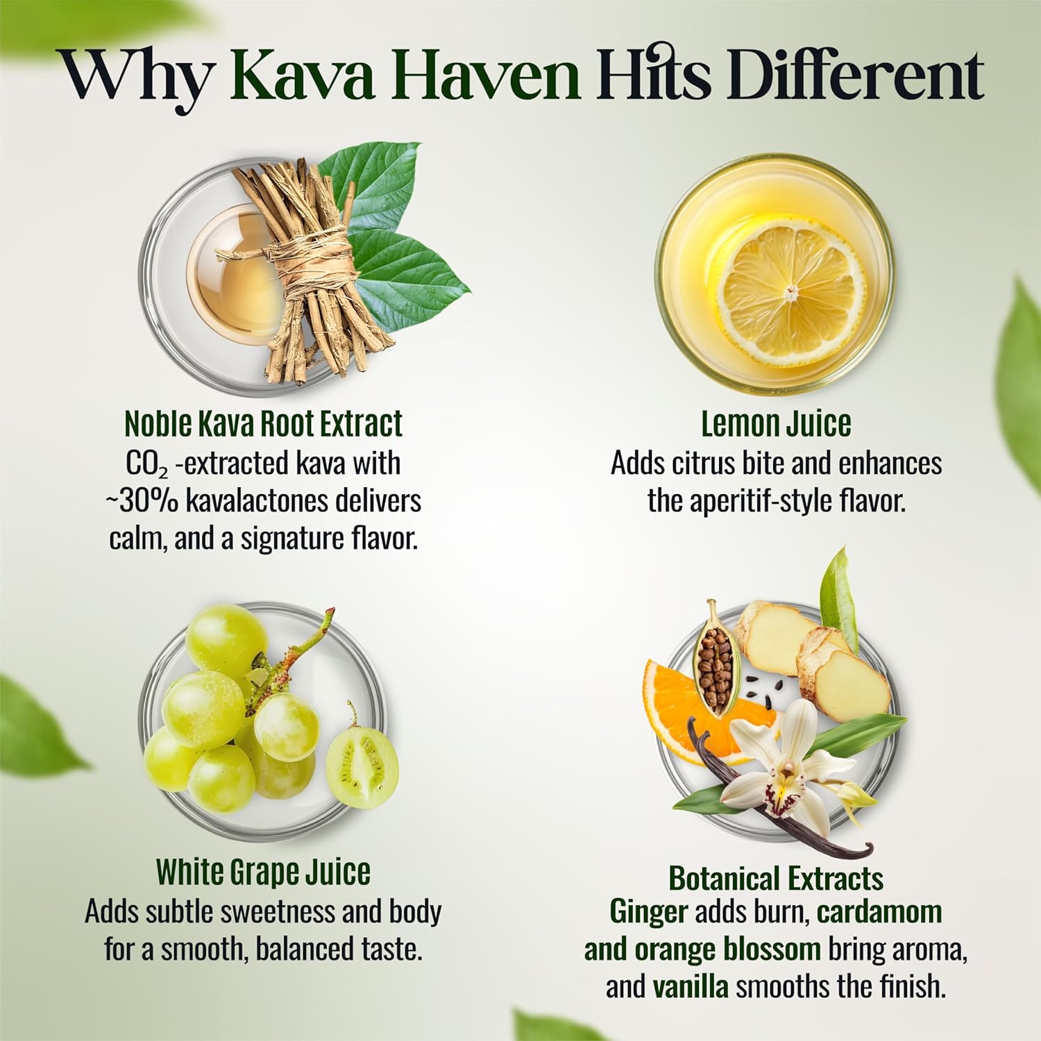 Kava Haven Non Alcoholic Spirit, 750mL Bottle | Kava Kava Drink | Non Alcohol Alternative Spirit for Mixed Drink Recipes | Low Calorie | All Natural | - Lemon Ginger Flavor (17 Servings) thumbnail