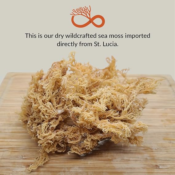 Sea Moss Gel + Ashwagandha | St. Lucia Wildcrafted Sea Moss | 100% Organic (16oz)