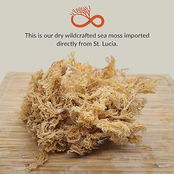 Sea Moss Gel + Ashwagandha | St. Lucia Wildcrafted Sea Moss | 100% Organic (16oz)