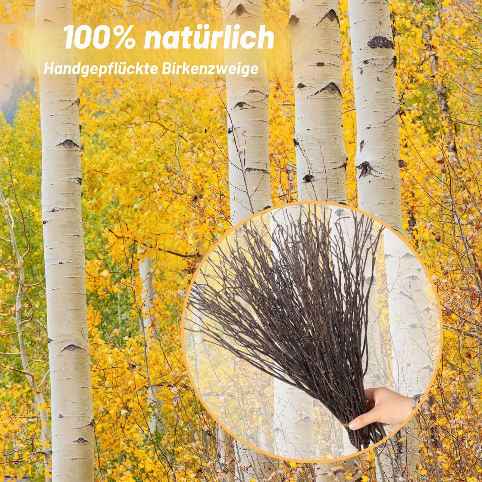 30 Stück echte getrocknete Birkenzweige – 43,2 cm dekorative 100% natürliche Birkenzweige für Ostervasen, lockige Weidenzweige, DIY, Blumenarrangement, Zweigkranz, Tafelaufsatz, rustikale