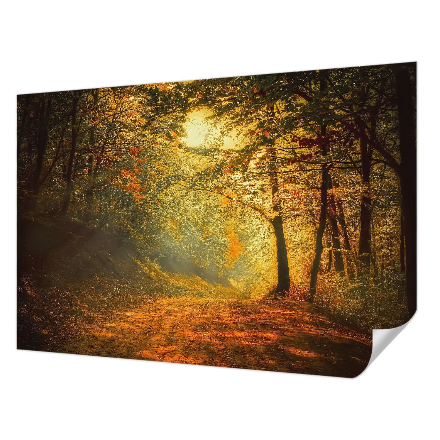 Revêtement mural haute qualité Tulup paysage d'automne 152x104 cm pour décoration chic