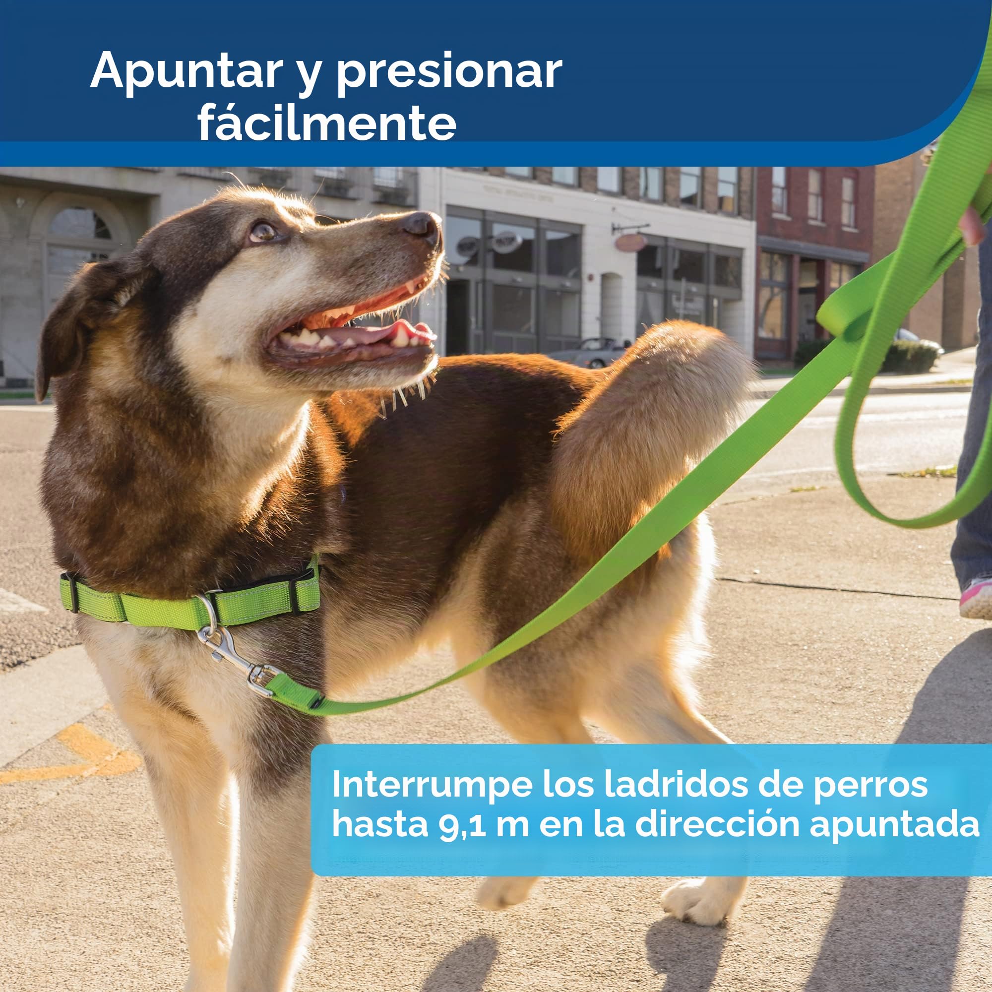 PetSafe Dispositivo de Entrenamiento por Ultrasonidos | Uso Interior y Exterior, Redirige la Atención del Perro