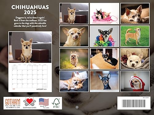 Vista 282 de Calendario Goldendoodle 2026 Golden Doodle mensual de pared calendario de 12 meses Fabricado en Estados Unidos