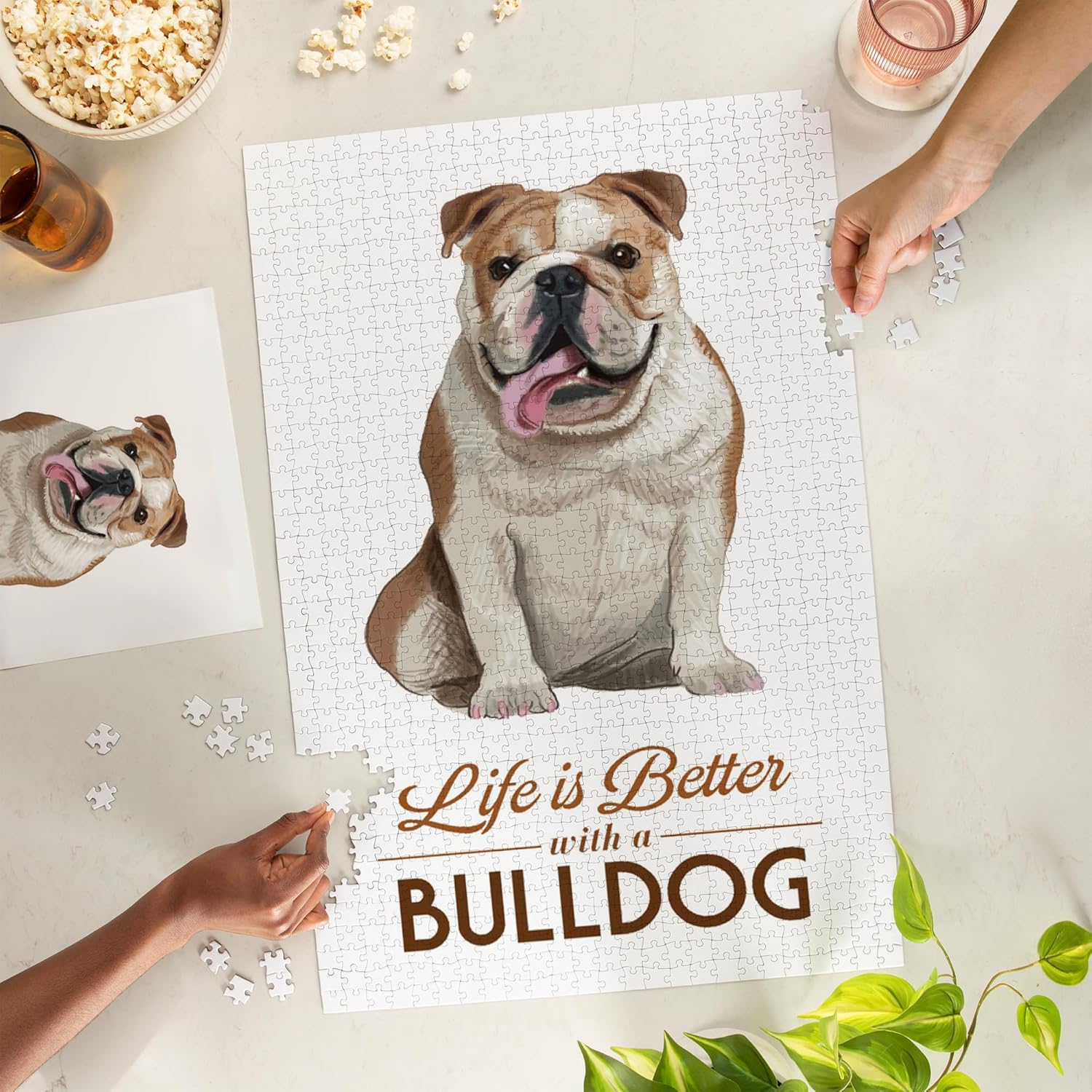Lantern Press Bulldog, Life is Better, White Background 1000 Piece Jigsaw Puzzle for Adults, Made in USA with Reference Poster