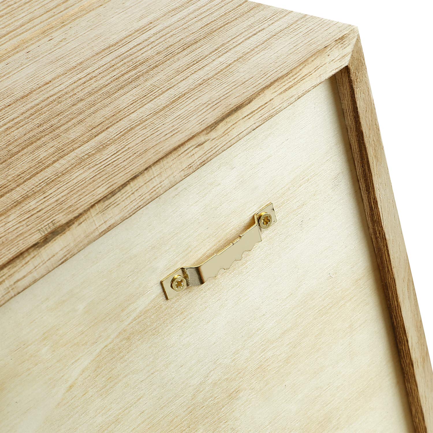 Ikee Design Wall Mounted Collectible Display Case Shadow Box with a