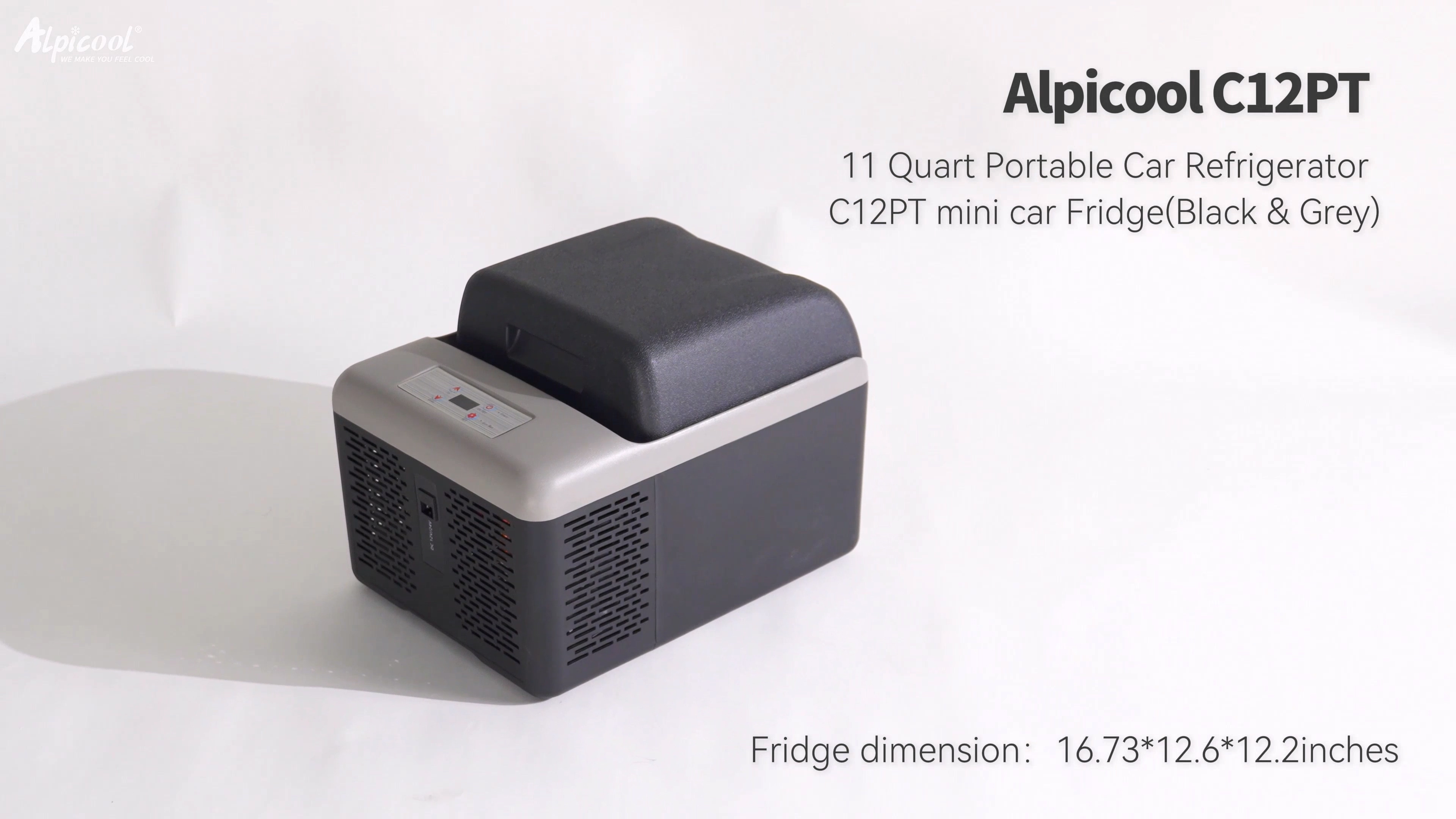 Amazon.com: Alpicool C12PT Portable Car Freezer Cooler, 12