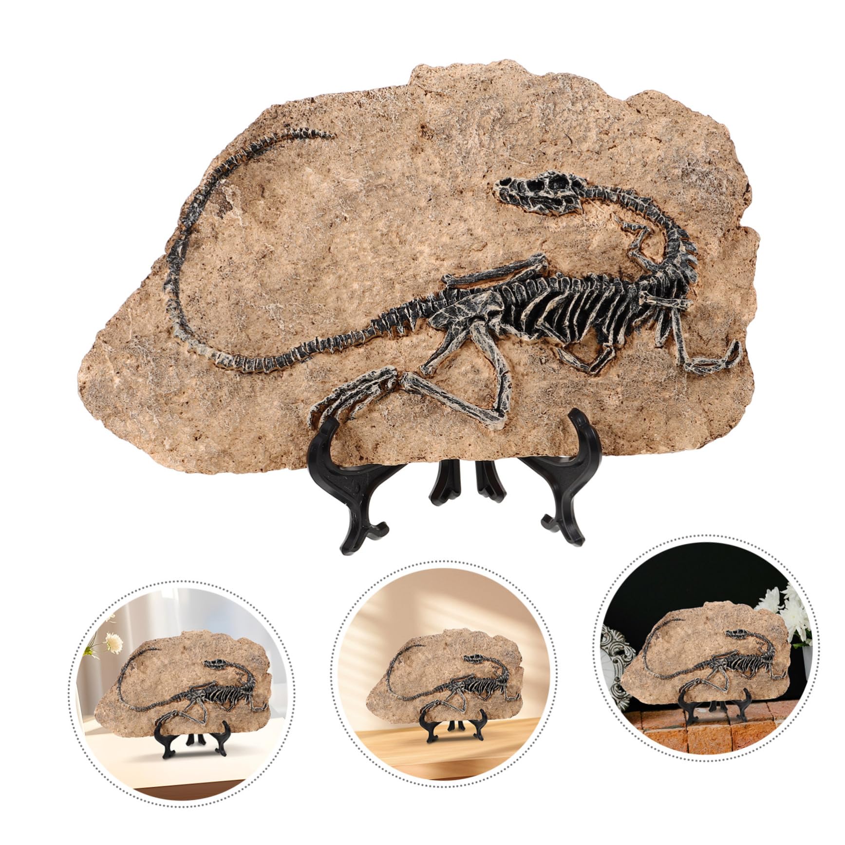 Garneck Dinosauro in Resina Decorativo la Casa Fossile Realistico, Ornamento per Ufficio e Regalo Educativo per Ragazzo Ragazza e Insegnanti