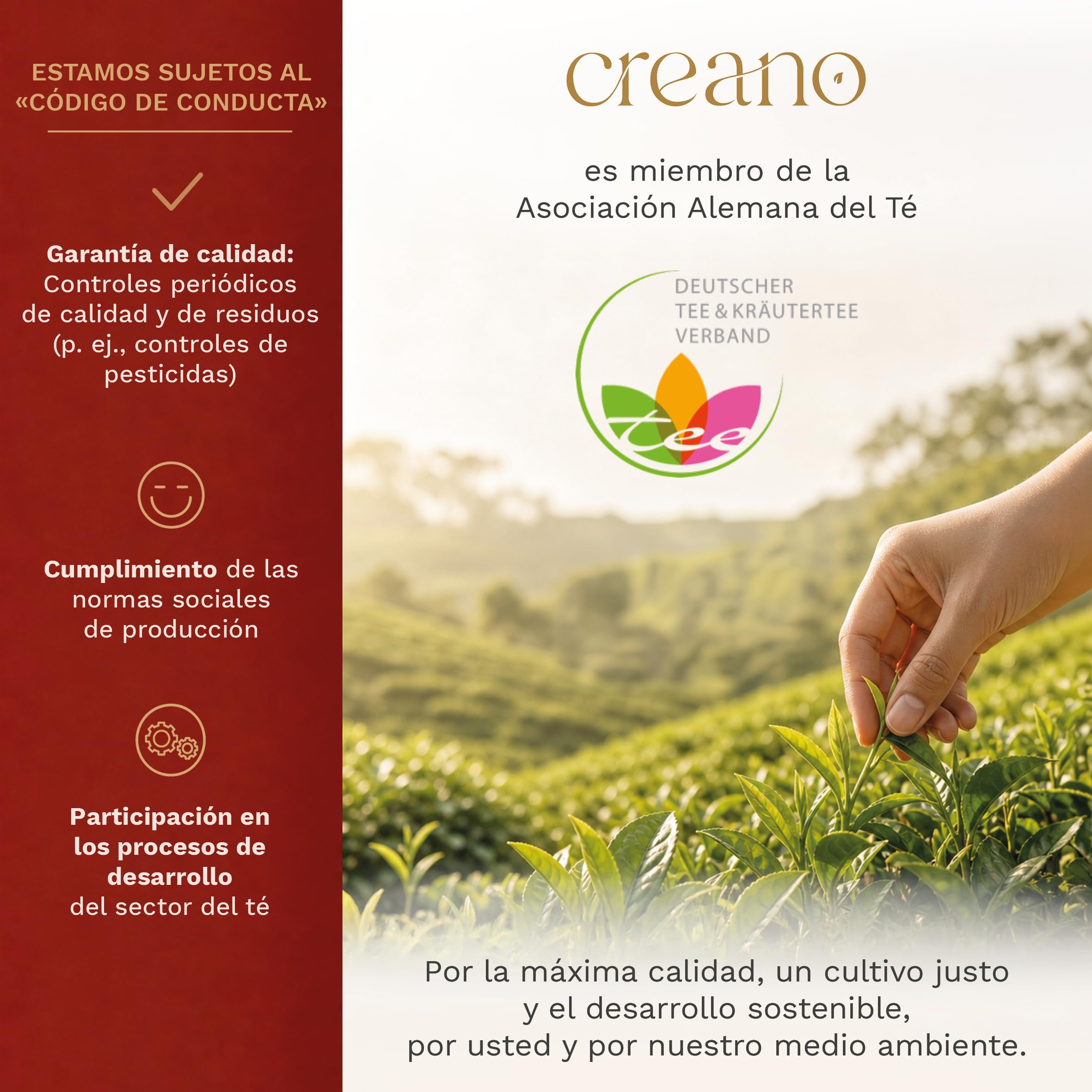 Creano Flores de Té Blanco 12 uds – Cofre de Madera con 6 Variedades – Regalo Sostenible y Elegante para Mujer y Amantes del Té Gourmet