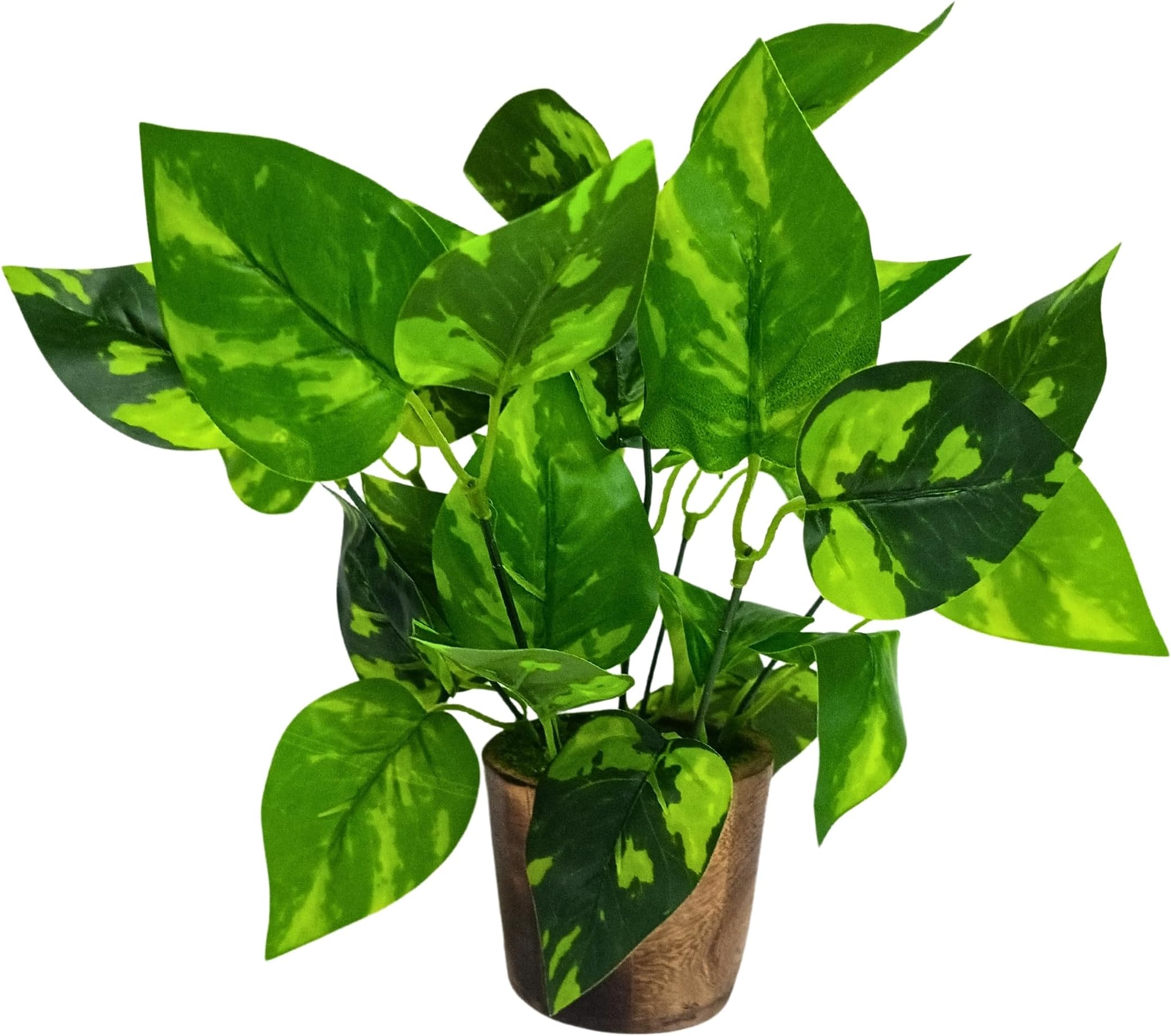 fancymart Artificial Money Plant Leaves in Small Wood Pot - Ideal Home & Office Decoration