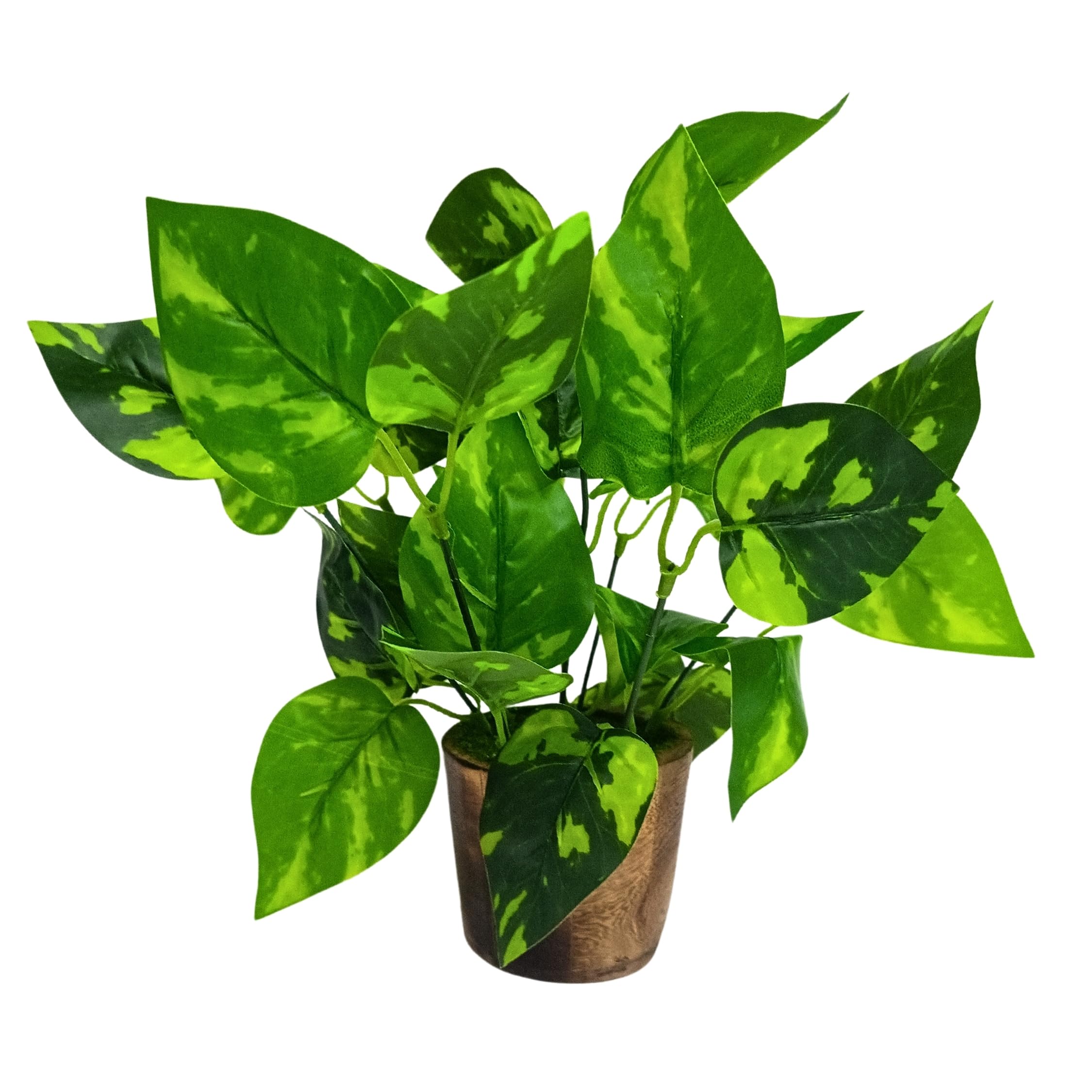 fancymart Artificial Money Plant Leaves in Small Wood Pot - Ideal Home & Office Decoration