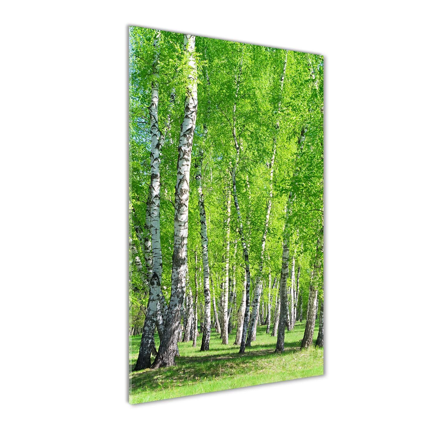 Déco murale derrière le plastique Tulup 50x100 | Image sur verre acrylique forêt vert