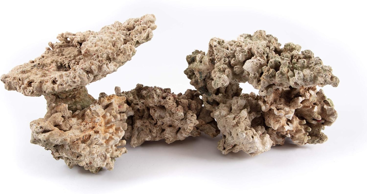 Aquarium Dried Reef Rock Mixed Pack (10kg)