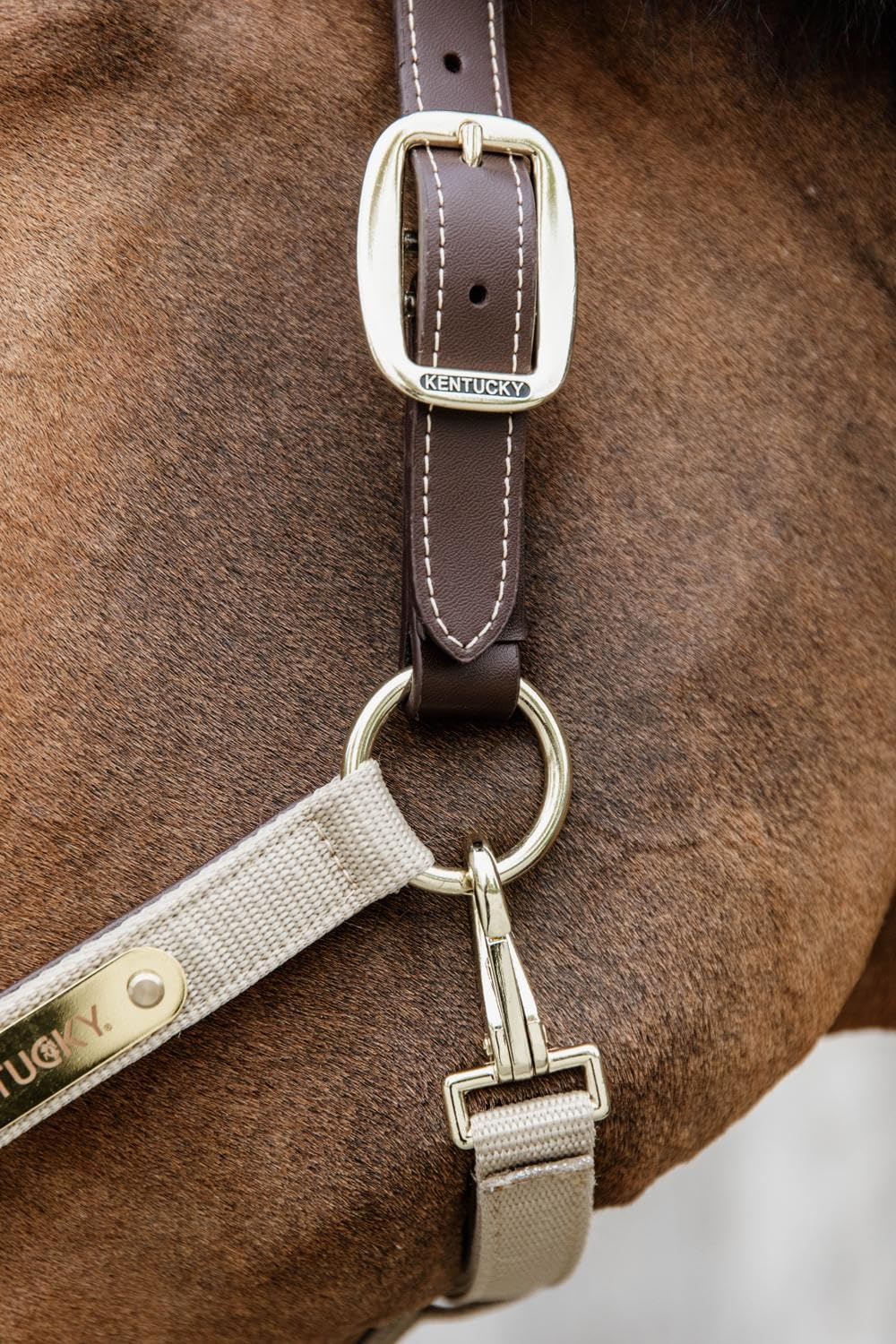 Kentucky Cavezza anatomica in nylon, colore beige