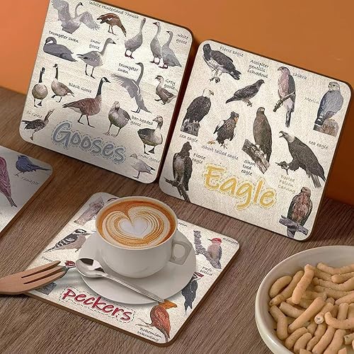 Miniatura 6 de Divertidos posavasos para pájaros, juego de 6 divertidos posavasos de pájaros, posavasos acrílicos impermeables para pájaros para amantes de las