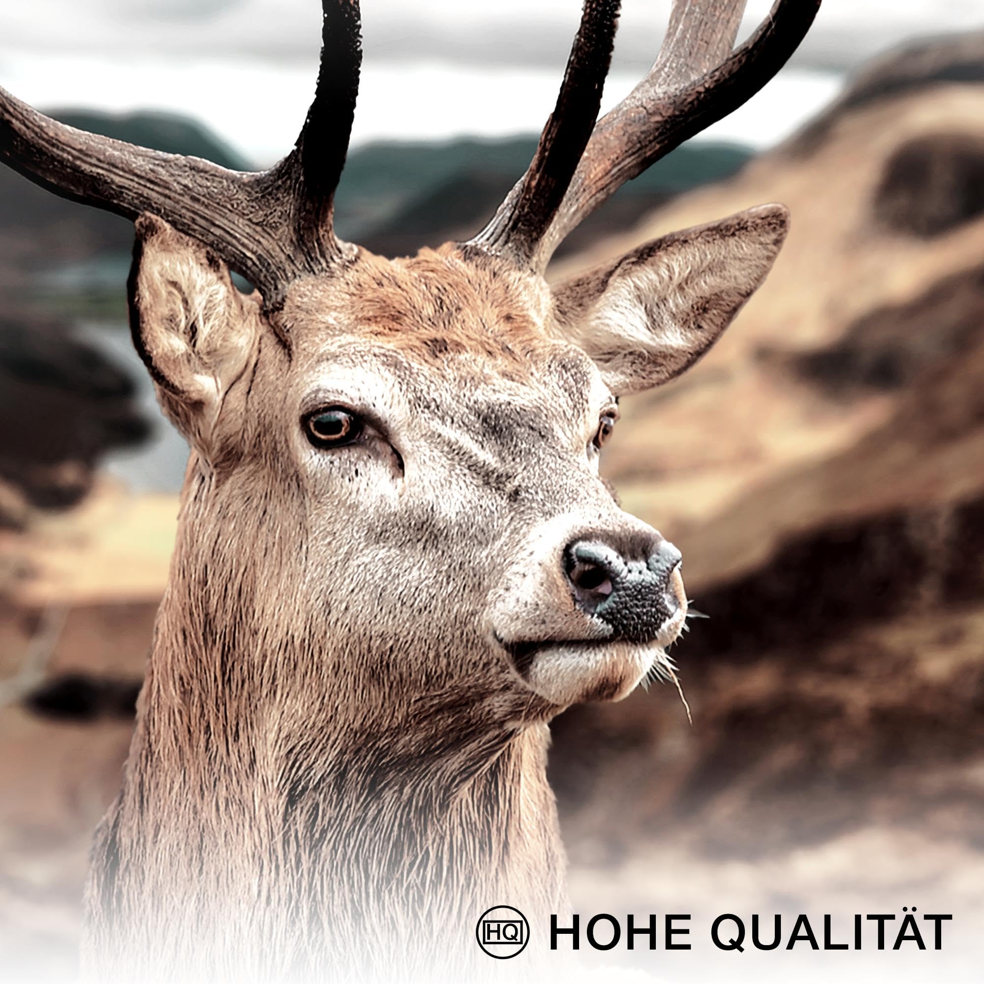 Novart Wandbilder Set Wald Hirsch Natur Berge - KEIN EXTRA RAHMEN BENÖTIGT - Modern Deko - Wohnzimmer Schlafzimmer N013263a