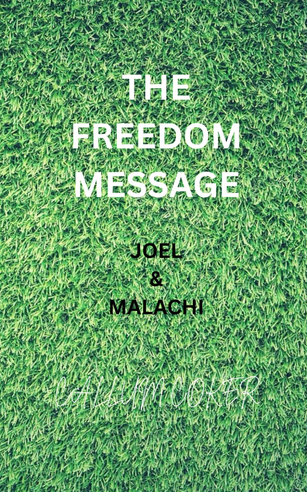 THE FREEDOM MESSAGE: JOEL & MALACHI