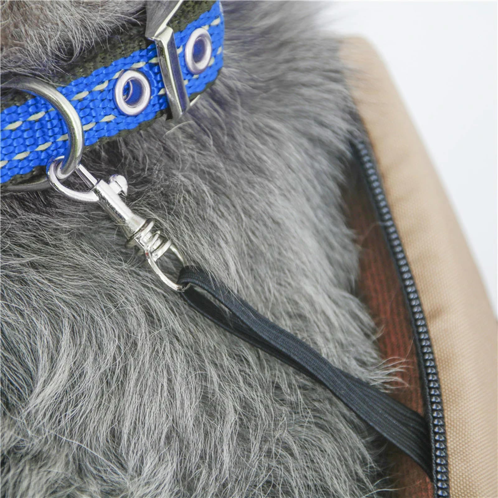 MdybF Trasportino Gatto Piccola Vettore di Animali Domestici Traspiranti Summer Cane Cane Portatile Portante Port Stucchi A Spalle per Portate per Cani per Cime dei Cagnolini-Nero-l
