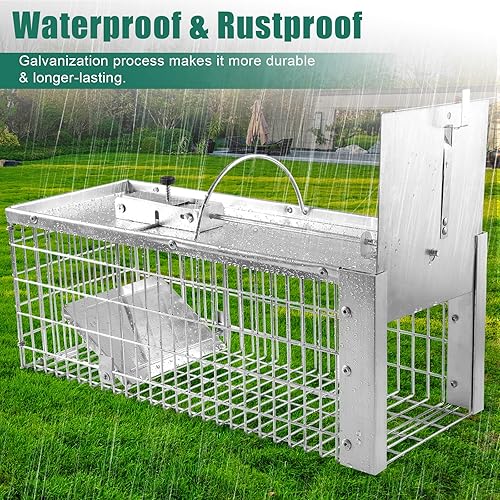 Miniatura 4 de Trampa para jaula de animales vivos, trampa duradera para animales humanos para ardillas, comadrejas, ardillas y animales pequeños, fácil de atrapar