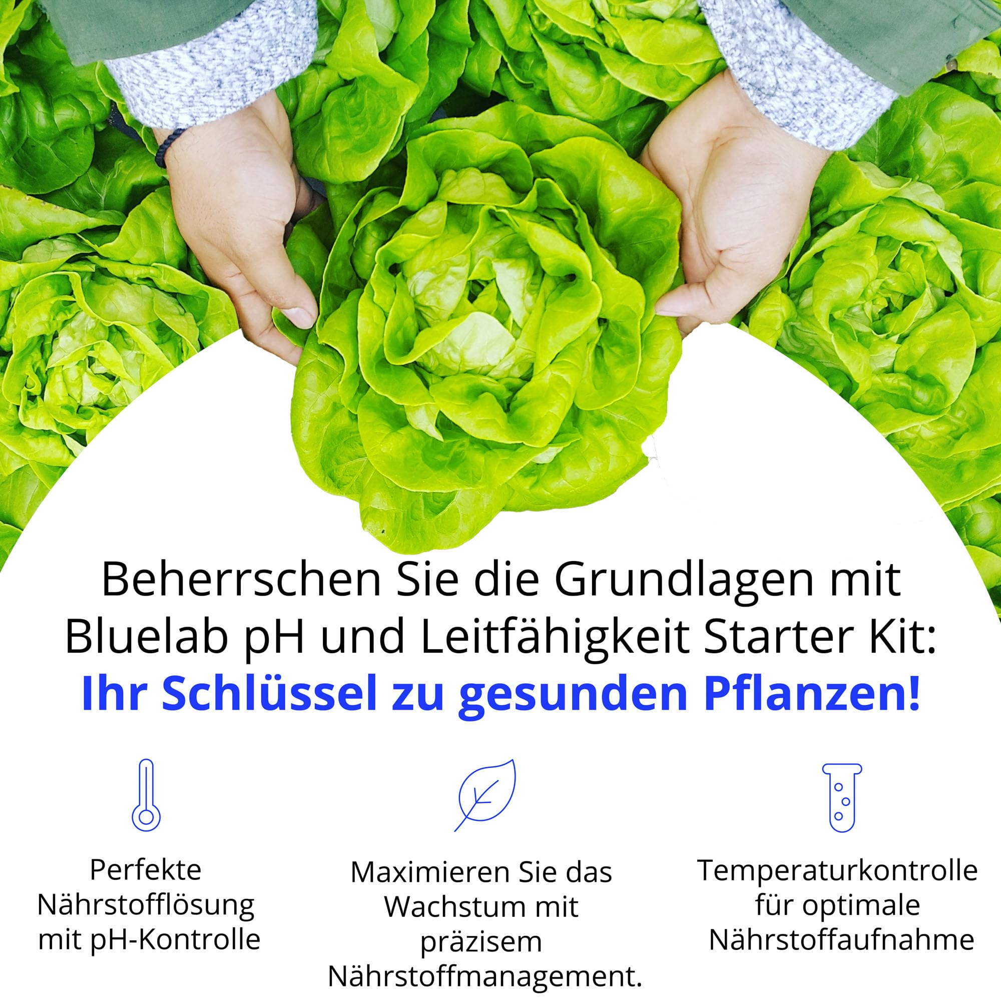 Bluelab PENSTP pH- und Leitfähigkeits-Starterpaket - Präzisions-Nährlösungsmanagement-Kit mit Temperaturmessung, wasserfeste Pens und Sondenpflege-Kit