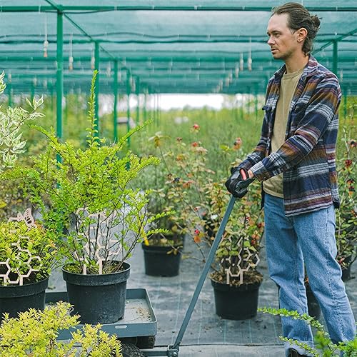 Miniatura 7 de 2 paquetes de enrejado para plantas de interior, enrejado de madera con forma de arco iris para plantas trepadoras, madera de interior, soporte para