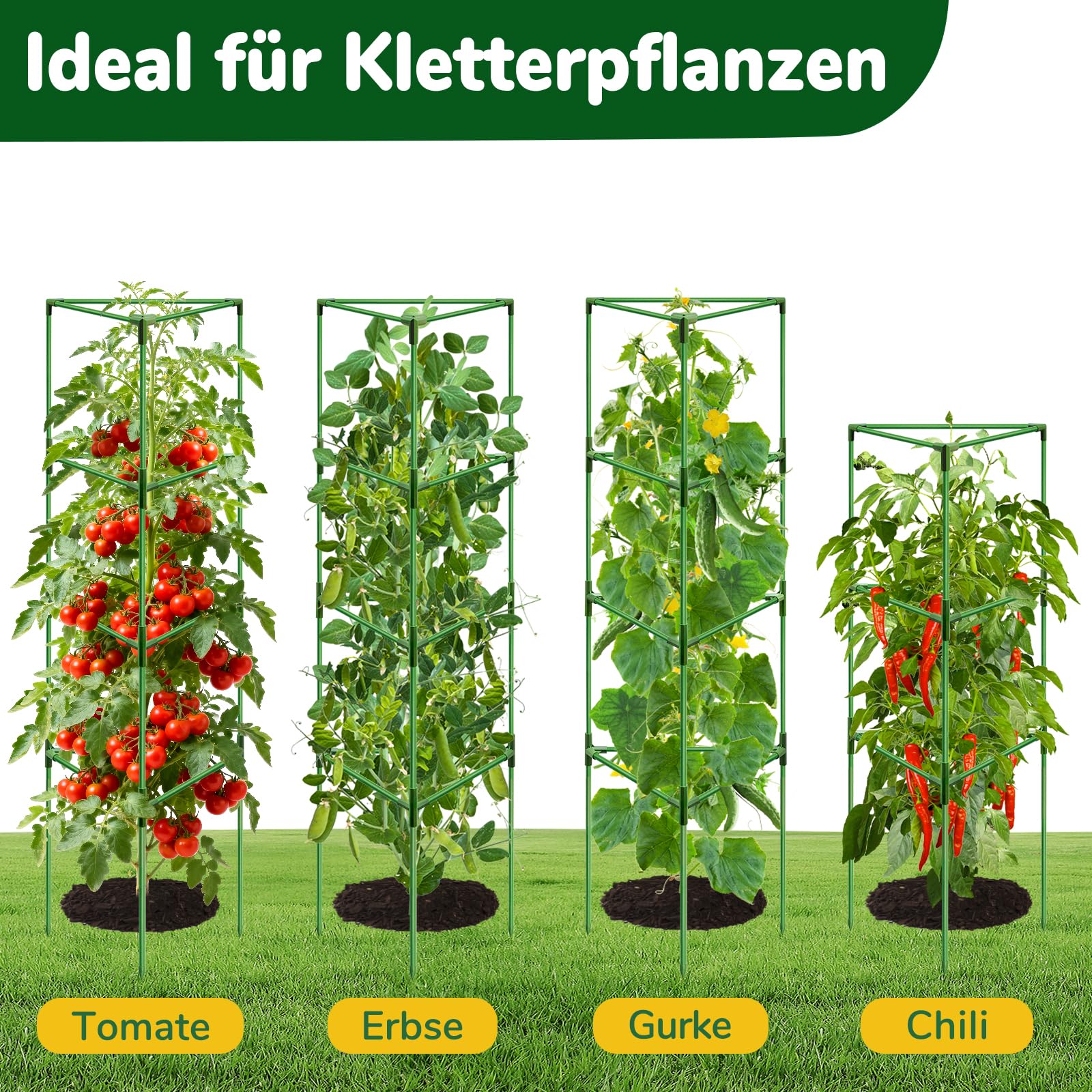 ZeeDix Tomaten Rankhilfe 6 Stück,165cm Stabile Pflanzen Rankhilfe
