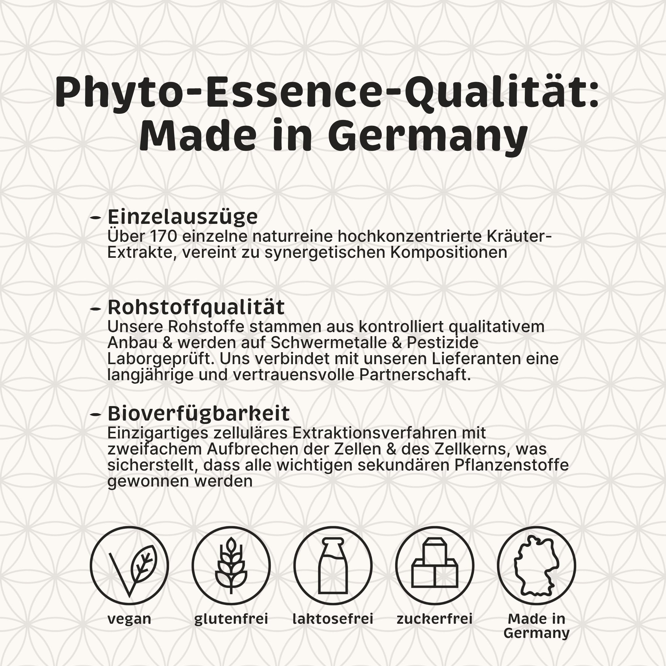Löwenzahn Extrakt | Hochreiner Einzelextrakt aus Löwenzahnwurzel & -kraut | 100% natürlich, ohne Zusatzstoffe | hohe Bioverfügbarkeit | 50 ml