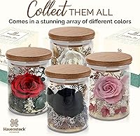 Vista 9 de Rosas eternas de alta calidad, rosa real preservada en cúpula de cristal, decoración de estilo gótico para ocasiones funerarias