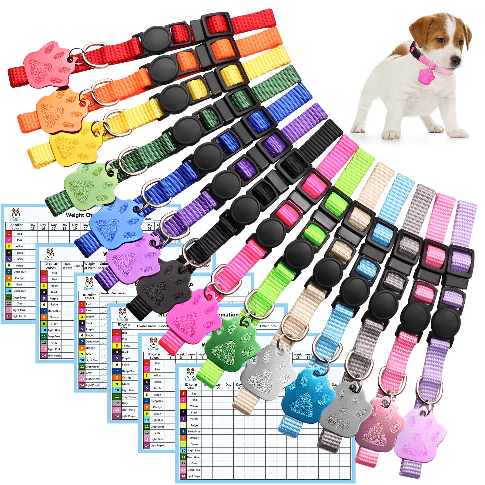 Can You Keep 2 Puppies From The Same Litter