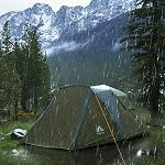 Night Cat Cabin Tent with Vestibule: 3 Persons Pop Up Camping Tent Double Layers Easy Quick Setup Waterproof