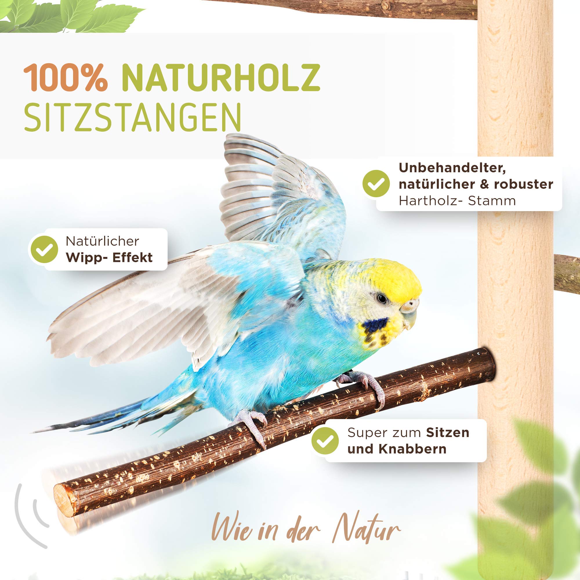 Vogelgaleria® Zimmerhoher Vogel Kletterbaum selbst konfigurierbar mit Naturholz-Sitzstangen, Vogelspielzeug, Vogelschaukel | Vogelspielplatz und Freisitz für Wellensittich, Nymphensittich & Co.