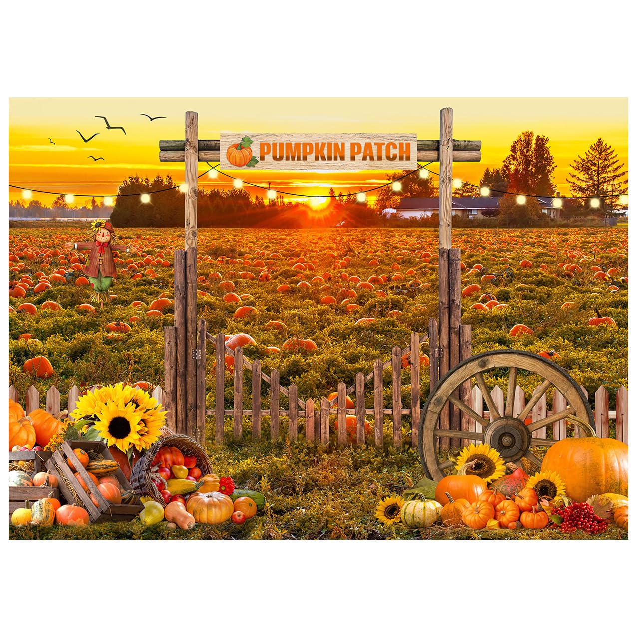 XEYSM 8X6FT Fall Backdrop Photography Pumpkin Patch Backdrops Autumn Harvest Backgroud Rural Scenery Back Drop Party Decorations Banner XY81