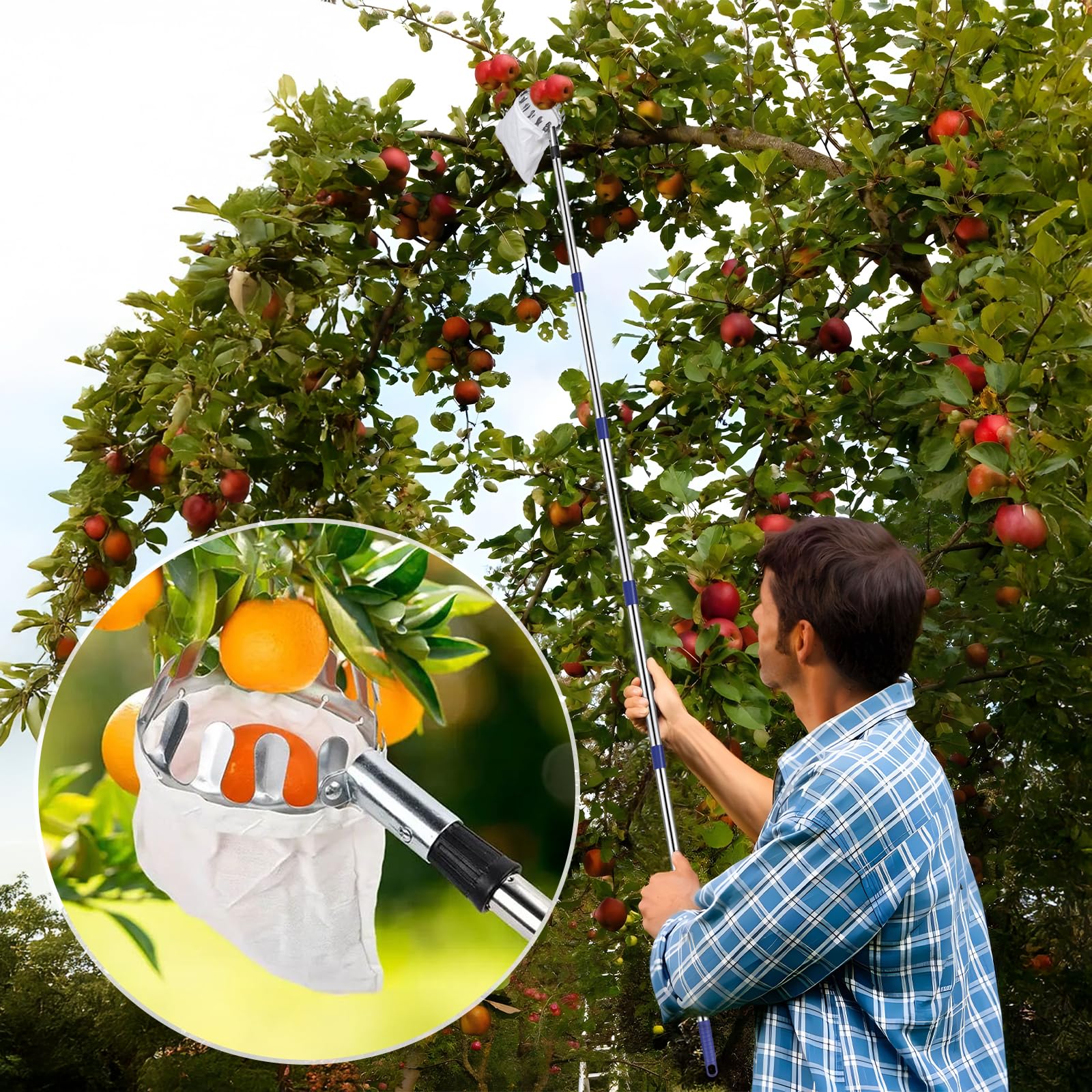 DBREAKS Raccogli Frutta, 4,2M Raccogli Mele con Manico Telescopico, Palo in Acciaio Inox Leggero Raccogli Frutta, Acciaio Inox Cestino con Sacchetto di Cotone, Diametro 16 cm