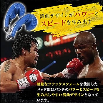 Amazon.co.jp: レイジェス(reyes) ボクシンググローブ バッグ打ち用