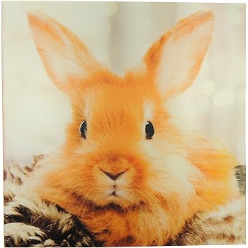 Geburtstagskarte mit Hasen-Motiv – Happy Birthday, niedliche Tierkarte