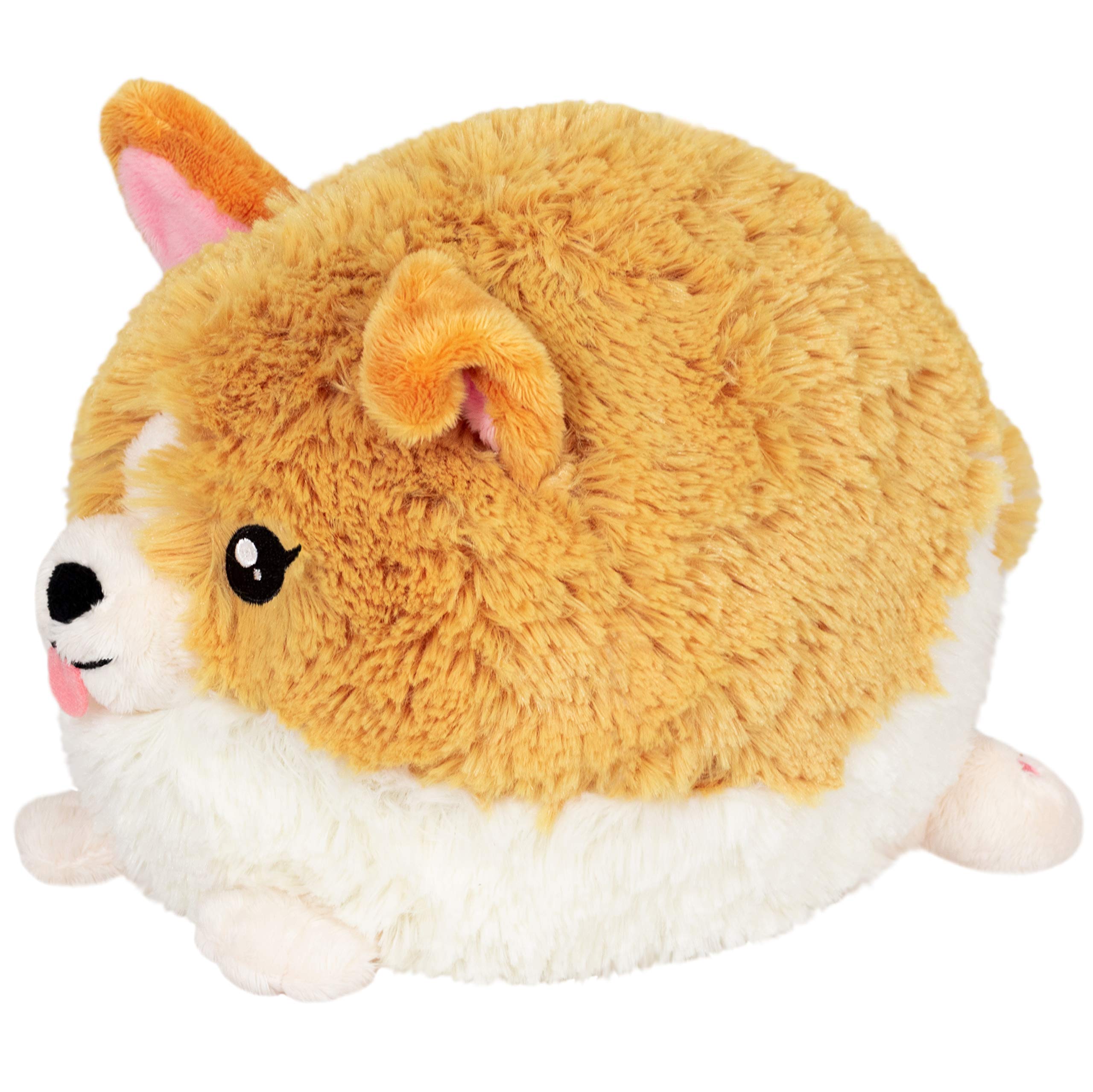 Amazon.com: Squishable / Mini Baby Corgi - 7
